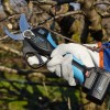 SECATEUR ELECTRIQUE STARK L